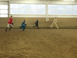 IMG_8527